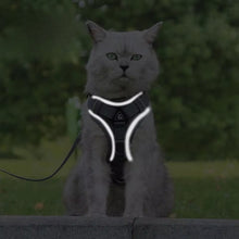 Cargar imagen en el visor de la galería, Arnés transpirante y reflectante Wolker para gatos