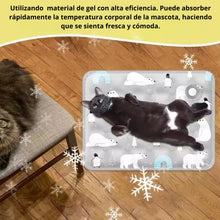 Cargar imagen en el visor de la galería, Cama refrescante ICE para gatos