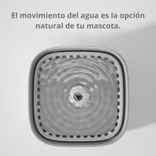 Cargar imagen en el visor de la galería, Fuente dispensador de agua automática recirculante Monju para gatos