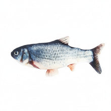 Cargar imagen en el visor de la galería, Juguete pez eléctrico interactivo para gatos