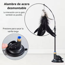 Cargar imagen en el visor de la galería, Juguete Stick interactivo Flyming para gatos