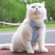 Cargar imagen en el visor de la galería, Arnés Bowee para gatos - Gatufy