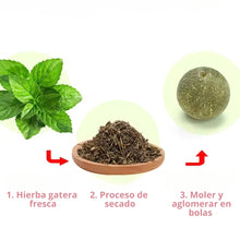 Cargar imagen en el visor de la galería, Bola de catnip hierba gatera giratoria CatRoll para pared