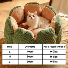 Cargar imagen en el visor de la galería, Cama suave Cactus para gatos - Gatufy