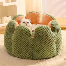 Cargar imagen en el visor de la galería, Cama suave Cactus para gatos - Gatufy