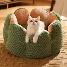 Cargar imagen en el visor de la galería, Cama suave Cactus para gatos - Gatufy