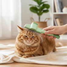 Cargar imagen en el visor de la galería, Cepillo limpiador y deslanador de pelo Stylish para gatos