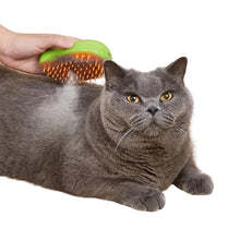 Cargar imagen en el visor de la galería, Cepillo de vapor para gatos eléctrico pulverizador Relax 3 usos en 1 peine con agua