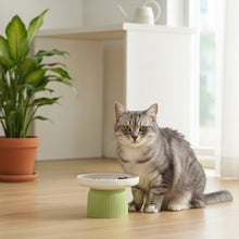 Cargar imagen en el visor de la galería, Comedero cuenco ergonómico de cerámica antideslizante Japandi para gatos