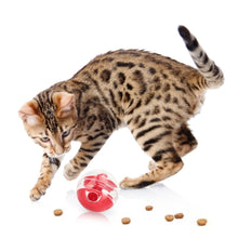 Cargar imagen en el visor de la galería, Juguete bola interactiva dispensadora de comida Twister para gatos