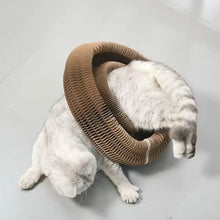 Cargar imagen en el visor de la galería, Juguete rascador interactivo plegable Acordeón para gatos - Gatufy