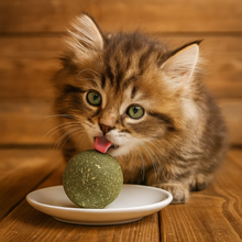 Cargar imagen en el visor de la galería, Paquete de bolas Catnip hierba gatera 100% natural 110g