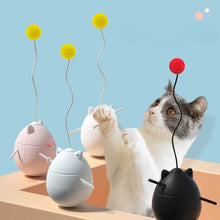 Cargar imagen en el visor de la galería, Pelota interactiva NinjaCat con luces LED para gatos