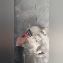 Cargar y reproducir el video en el visor de la galería, Cepillo deslanador Nudoff de acero inoxidable para gatos