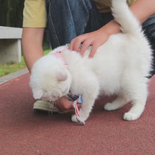 Cargar y reproducir el video en el visor de la galería, Arnés Bowee para gatos