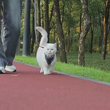 Cargar y reproducir el video en el visor de la galería, Arnés transpirante y reflectante Wolker para gatos