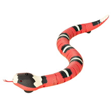 Cargar imagen en el visor de la galería, Juguete serpiente Shake para gatos