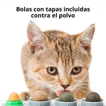 Cargar imagen en el visor de la galería, Surtido Candy de bolas Catnip y plantas naturales para gatos