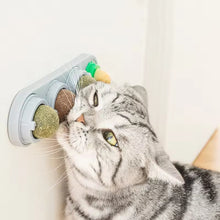 Cargar imagen en el visor de la galería, Surtido Candy de bolas Catnip y plantas naturales para gatos