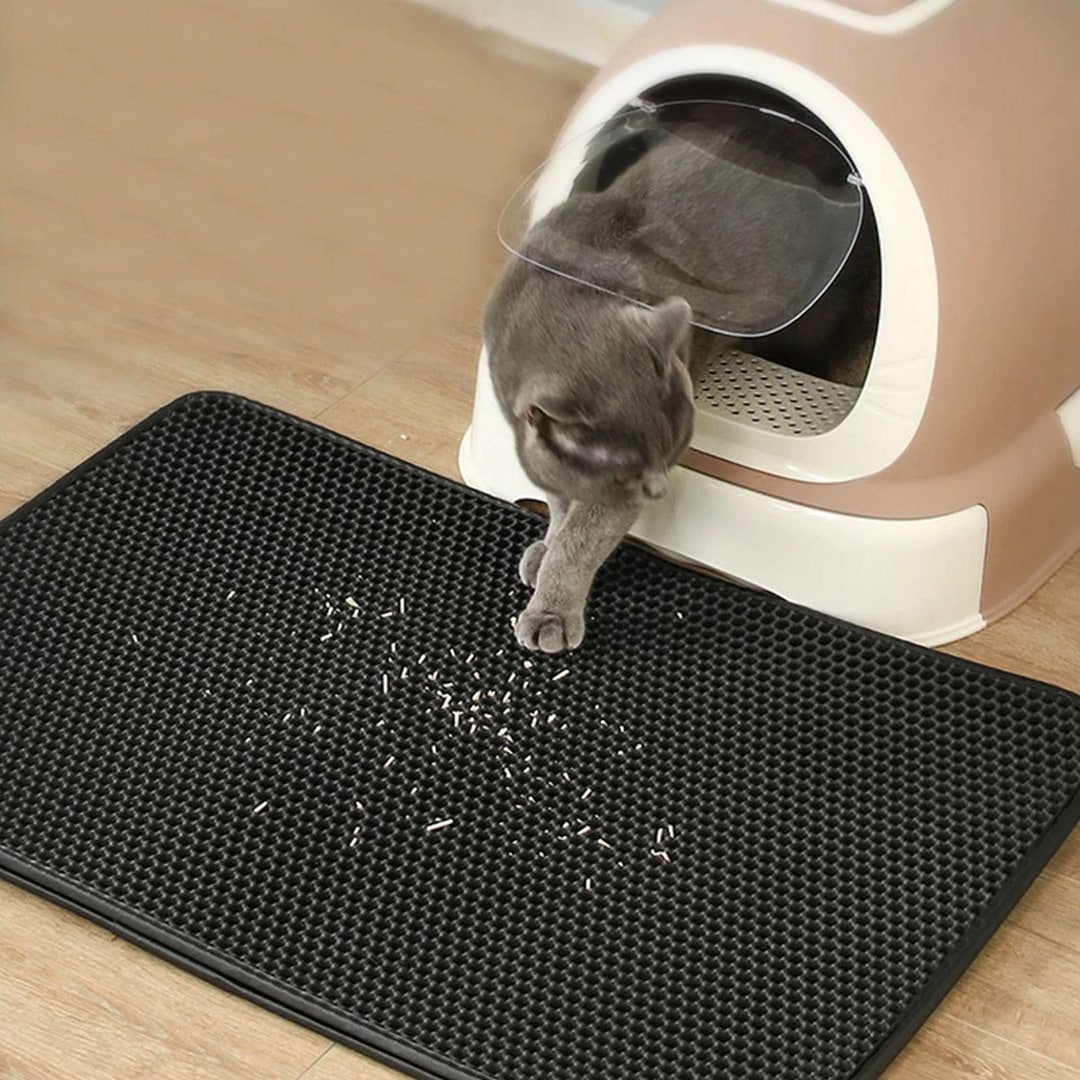 Las 7 mejores alfombras arenero gatos 