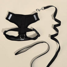 Cargar imagen en el visor de la galería, Arnés Catwalk para gatos - Gatufy