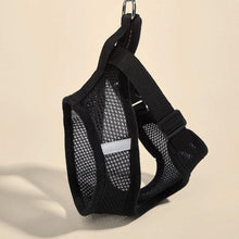 Cargar imagen en el visor de la galería, Arnés Catwalk para gatos - Gatufy