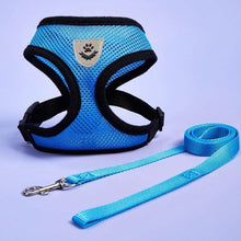 Cargar imagen en el visor de la galería, Arnés Catwalk para gatos - Gatufy