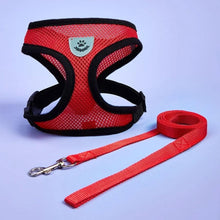 Cargar imagen en el visor de la galería, Arnés Catwalk para gatos - Gatufy