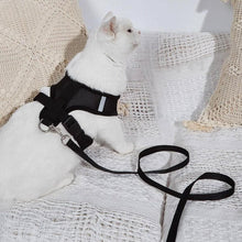 Cargar imagen en el visor de la galería, Arnés Catwalk para gatos - Gatufy