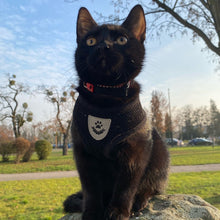 Cargar imagen en el visor de la galería, Arnés Catwalk para gatos - Gatufy
