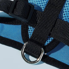 Cargar imagen en el visor de la galería, Arnés Catwalk para gatos - Gatufy