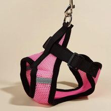 Cargar imagen en el visor de la galería, Arnés Catwalk para gatos - Gatufy