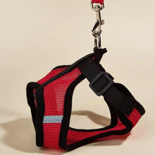 Cargar imagen en el visor de la galería, Arnés Catwalk para gatos - Gatufy