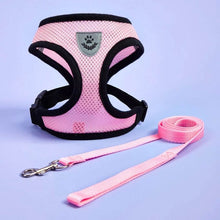 Cargar imagen en el visor de la galería, Arnés Catwalk para gatos - Gatufy