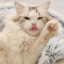 Cargar imagen en el visor de la galería, Cama Cozy para gatos - Gatufy