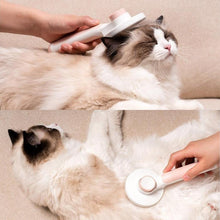 Cargar imagen en el visor de la galería, Cepillo Push para gatos - Gatufy