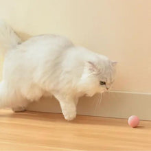 Cargar imagen en el visor de la galería, Juguete bola interactiva BalanceCat inteligente para gatos - Gatufy
