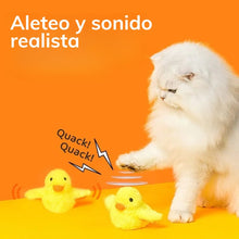 Cargar imagen en el visor de la galería, Juguete interactivo pato Donald para gatos - Gatufy