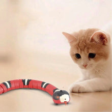 Cargar imagen en el visor de la galería, Juguete serpiente Shake para gatos - Gatufy