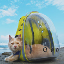 Cargar imagen en el visor de la galería, Mochila de viaje transparente Asteroid para gatos - Gatufy