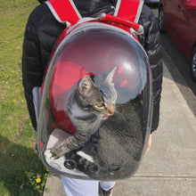 Cargar imagen en el visor de la galería, Mochila de viaje transparente Asteroid para gatos - Gatufy