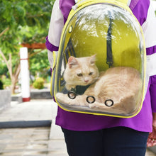Cargar imagen en el visor de la galería, Mochila de viaje transparente Asteroid para gatos - Gatufy