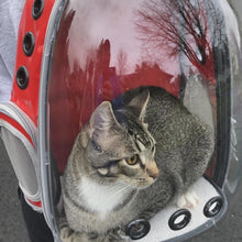 Cargar imagen en el visor de la galería, Mochila de viaje transparente Asteroid para gatos - Gatufy