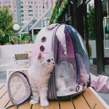 Cargar imagen en el visor de la galería, Mochila de viaje transparente Asteroid para gatos - Gatufy