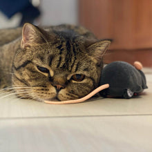 Cargar imagen en el visor de la galería, Ratón teledirigido Ratatouille para gatos - Gatufy