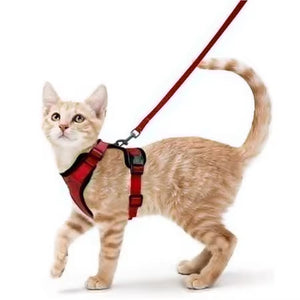 Arnés transpirante Melton para gatos