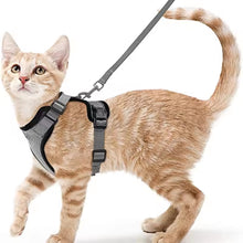 Cargar imagen en el visor de la galería, Arnés transpirante Melton para gatos
