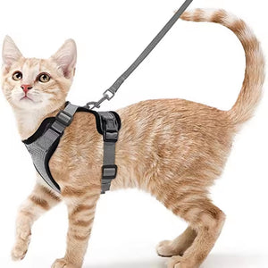 Arnés transpirante Melton para gatos