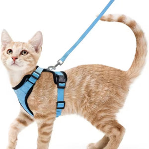 Arnés transpirante Melton para gatos