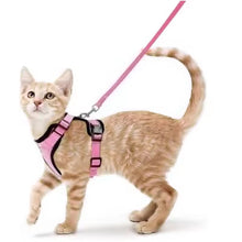 Cargar imagen en el visor de la galería, Arnés transpirante Melton para gatos
